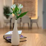 Nordic Glow - Modern In The Area *